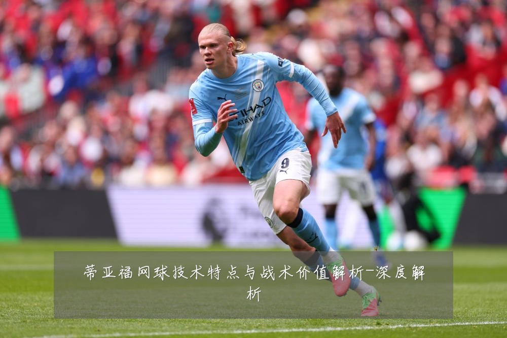 蒂亚福网球技术特点与战术价值解析-深度解析